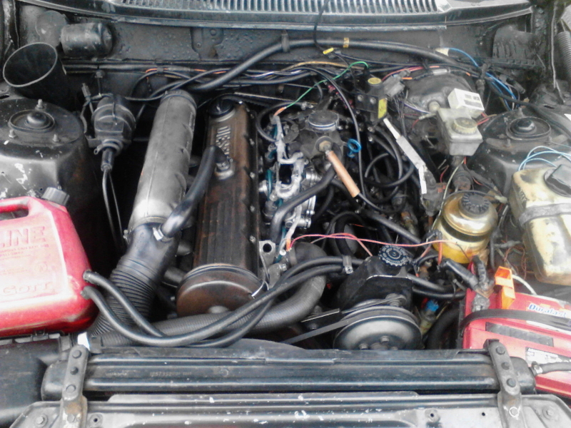 Illustration for article titled For $1,495, This 1982 Volvo 245 Diesel Could Let You Veg Out